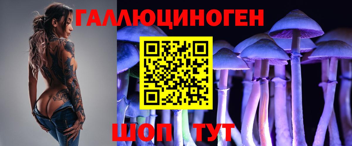 Псилоцибиновые грибы ЛСД Тавда